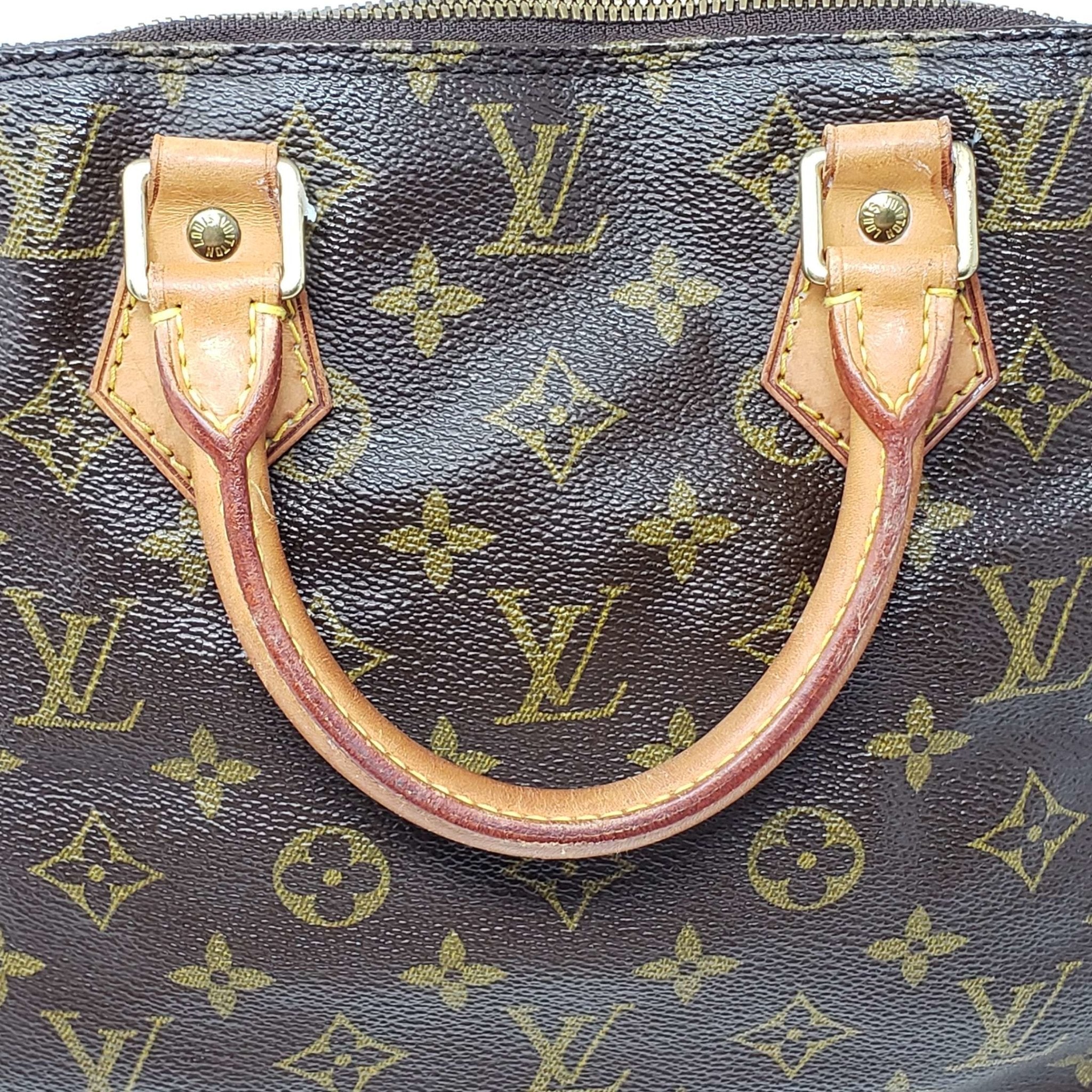Louis Vuitton Monogram Alma PM Hand Bag