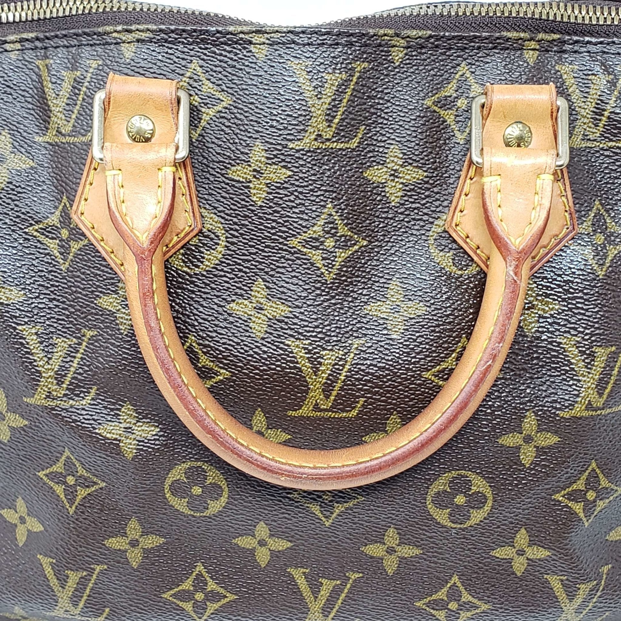 Louis Vuitton Monogram Alma PM Hand Bag
