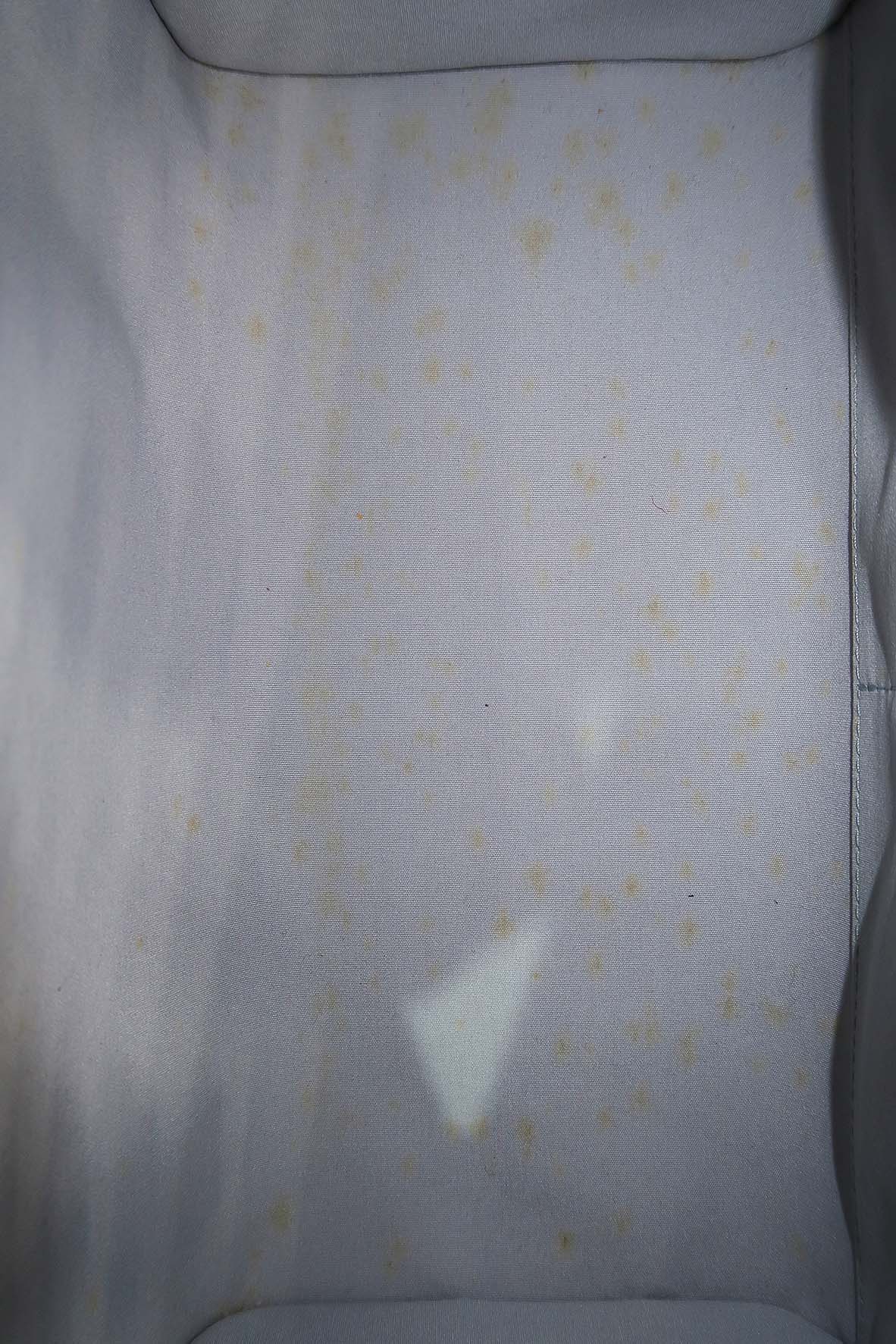 Monogram Miroir Speedy 30 Silver