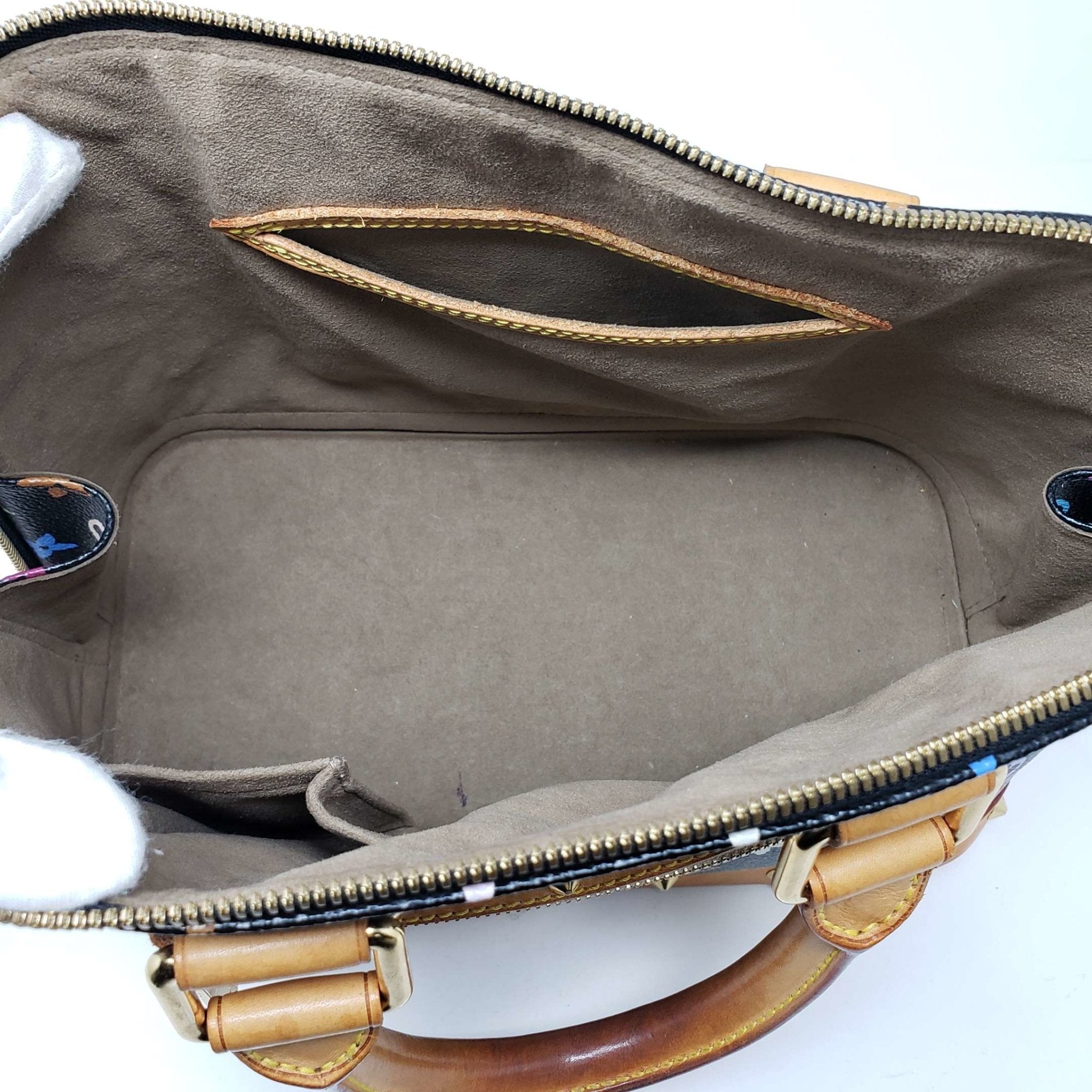 Louis Vuitton Monogram Multicolor Alma PM Hand Bag