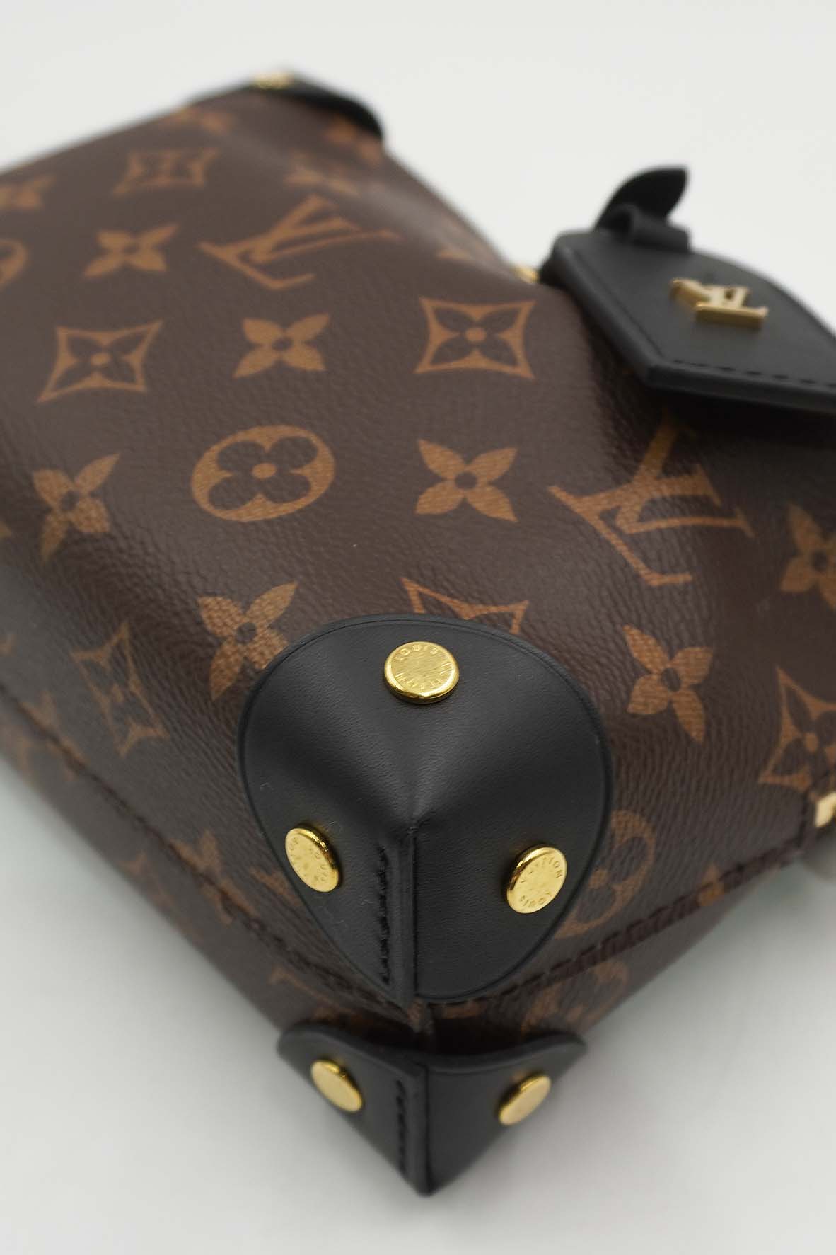 Monogram Petite Malle Souple Brown, Multicolor
