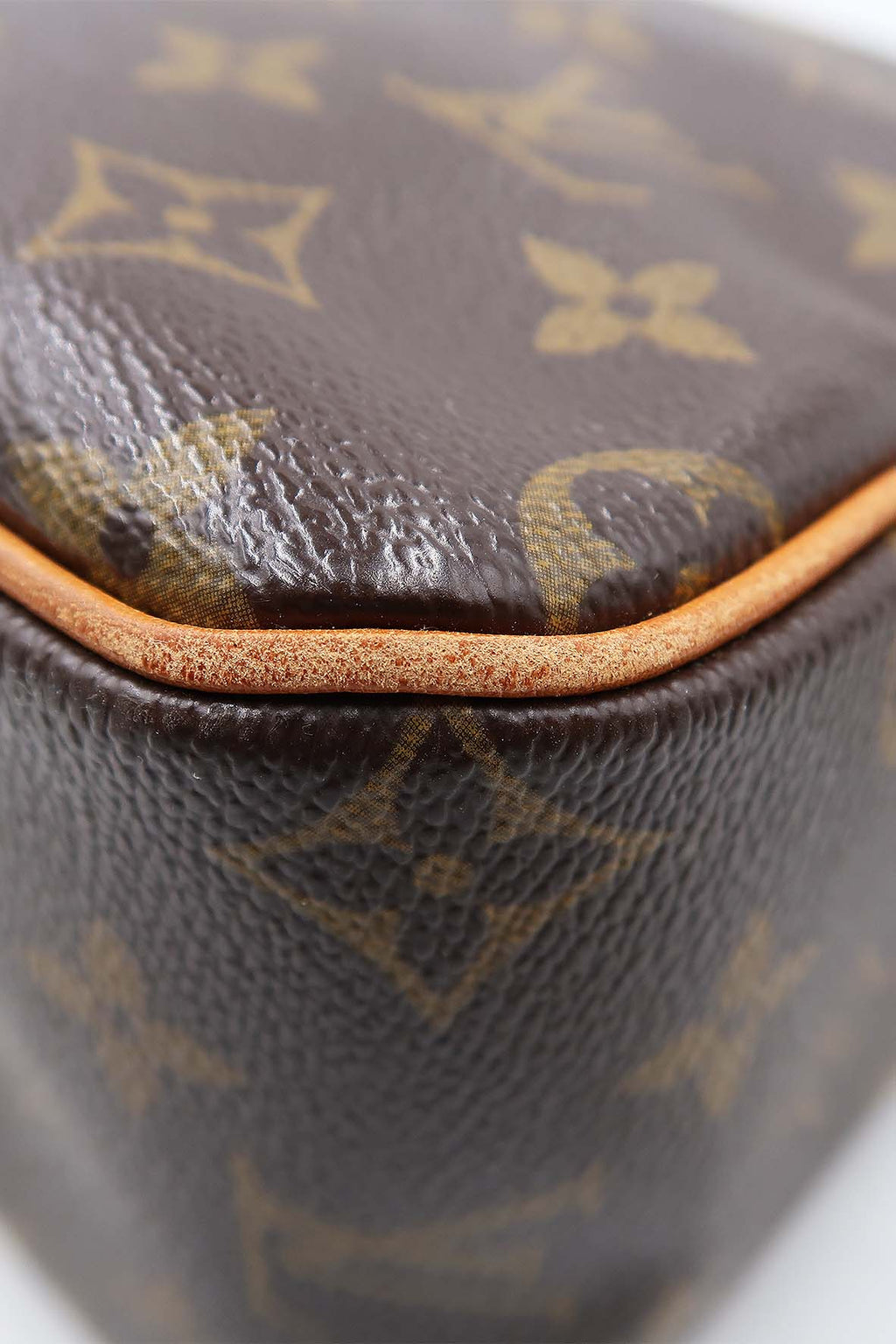 Monogram Viva Cite GM Bag Brown