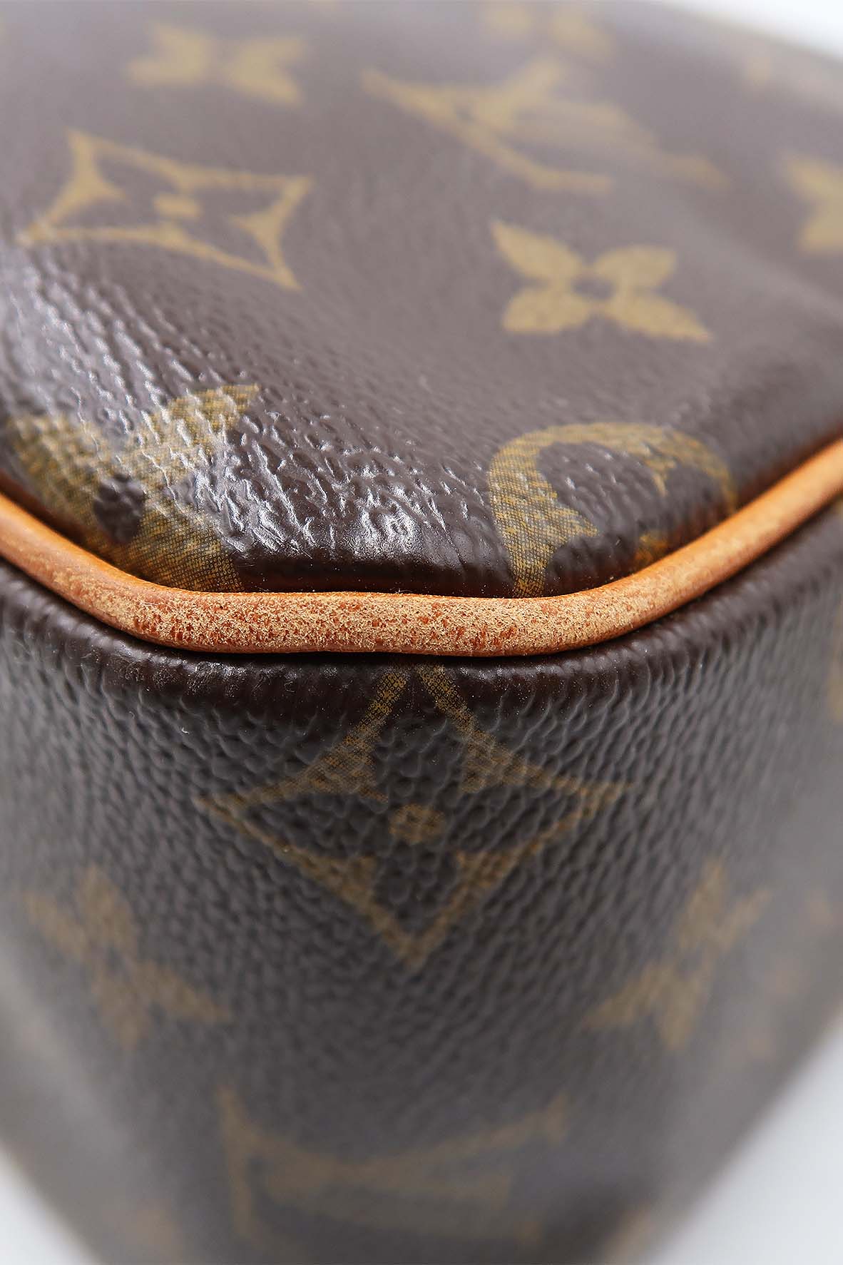 Monogram Viva Cite GM Bag Brown
