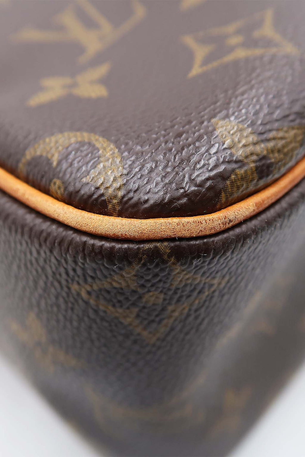 Monogram Viva Cite GM Bag Brown