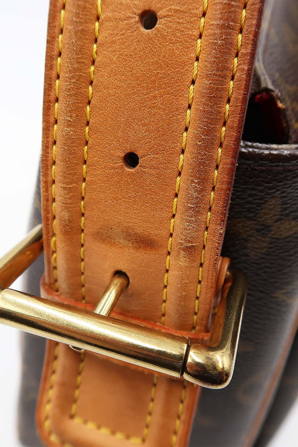 Monogram Viva Cite GM Bag Brown