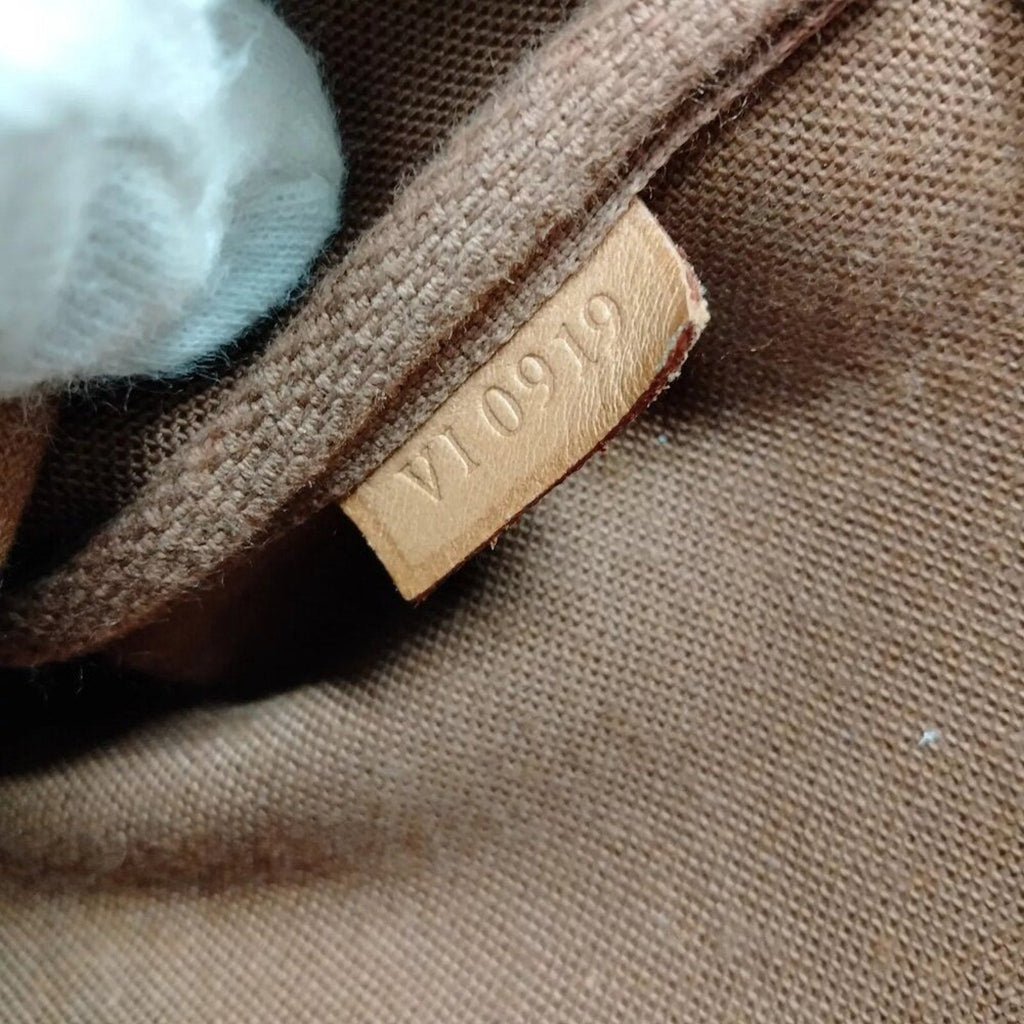 Louis Vuitton Pochette Accessories Shoulder Bag