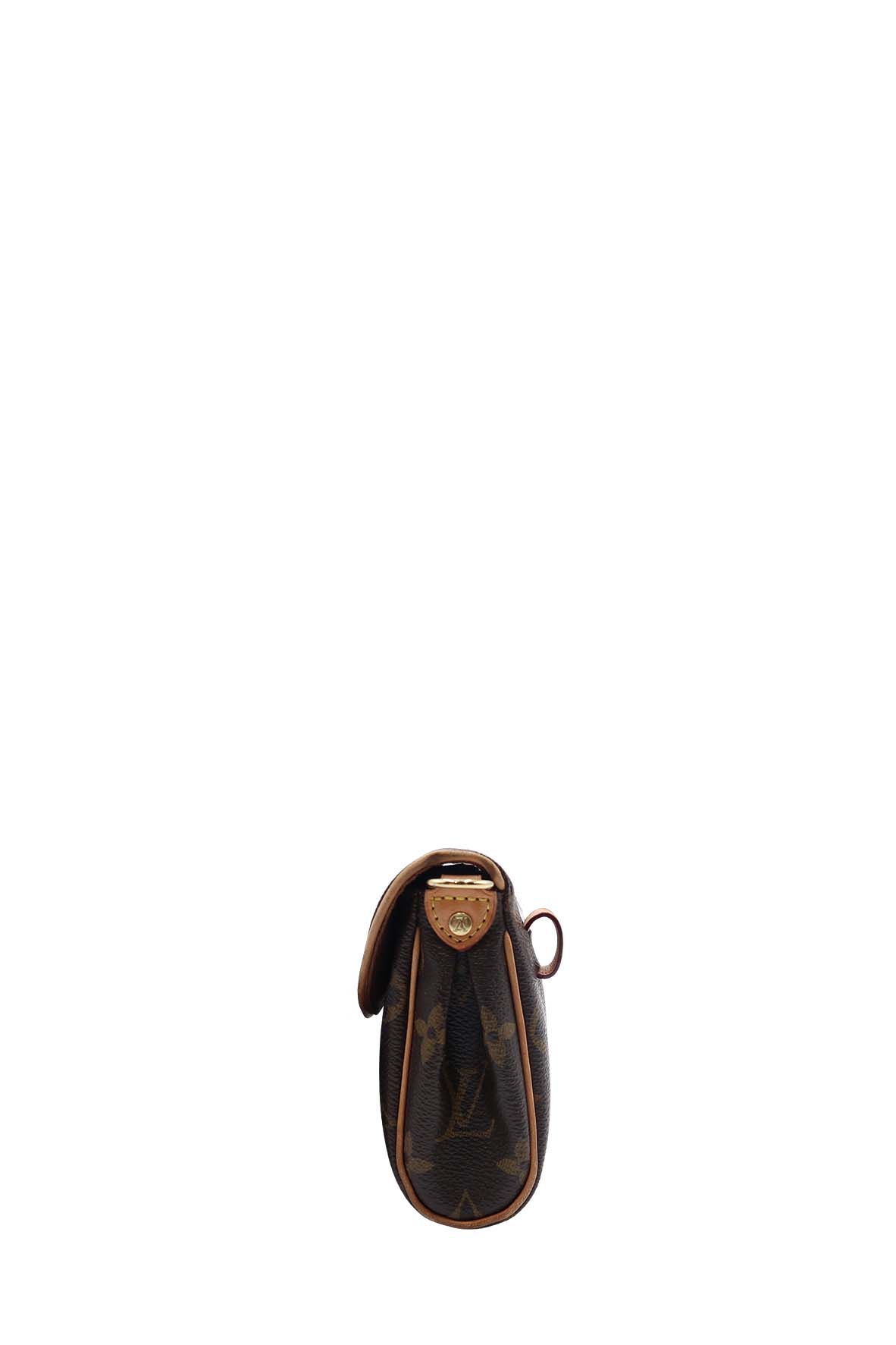 Pochette Friendly Convertible Bag Brown