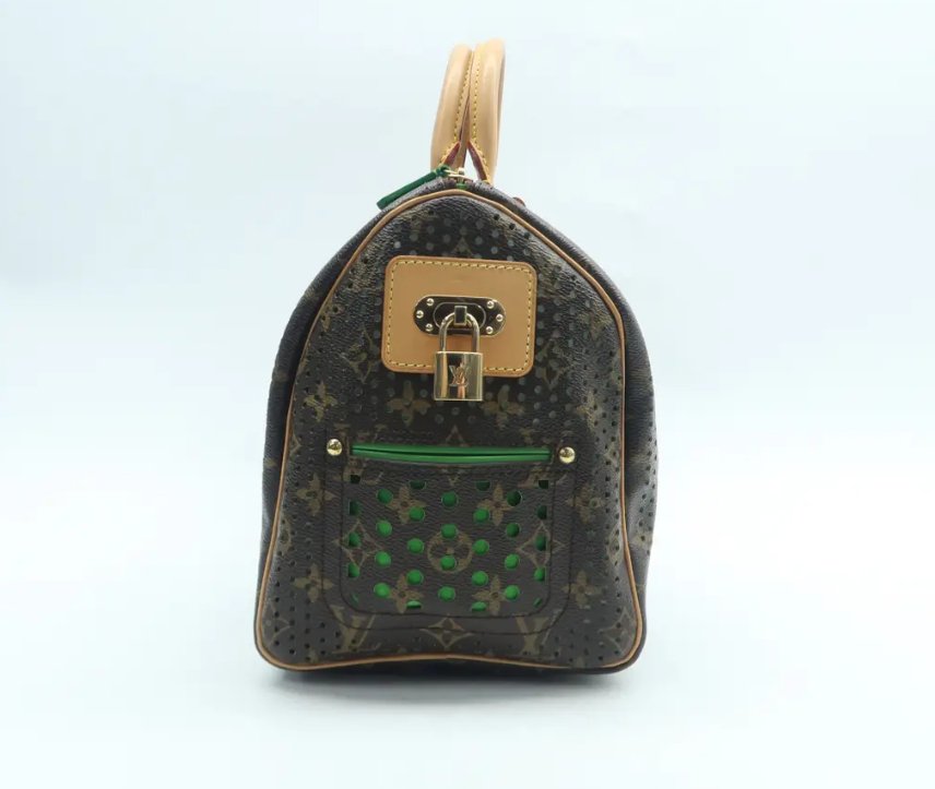 Louis Vuitton Speedy 30 Brown Monogram Canvas Hand Bag