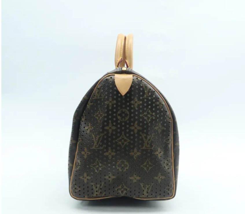 Louis Vuitton Speedy 30 Brown Monogram Canvas Hand Bag