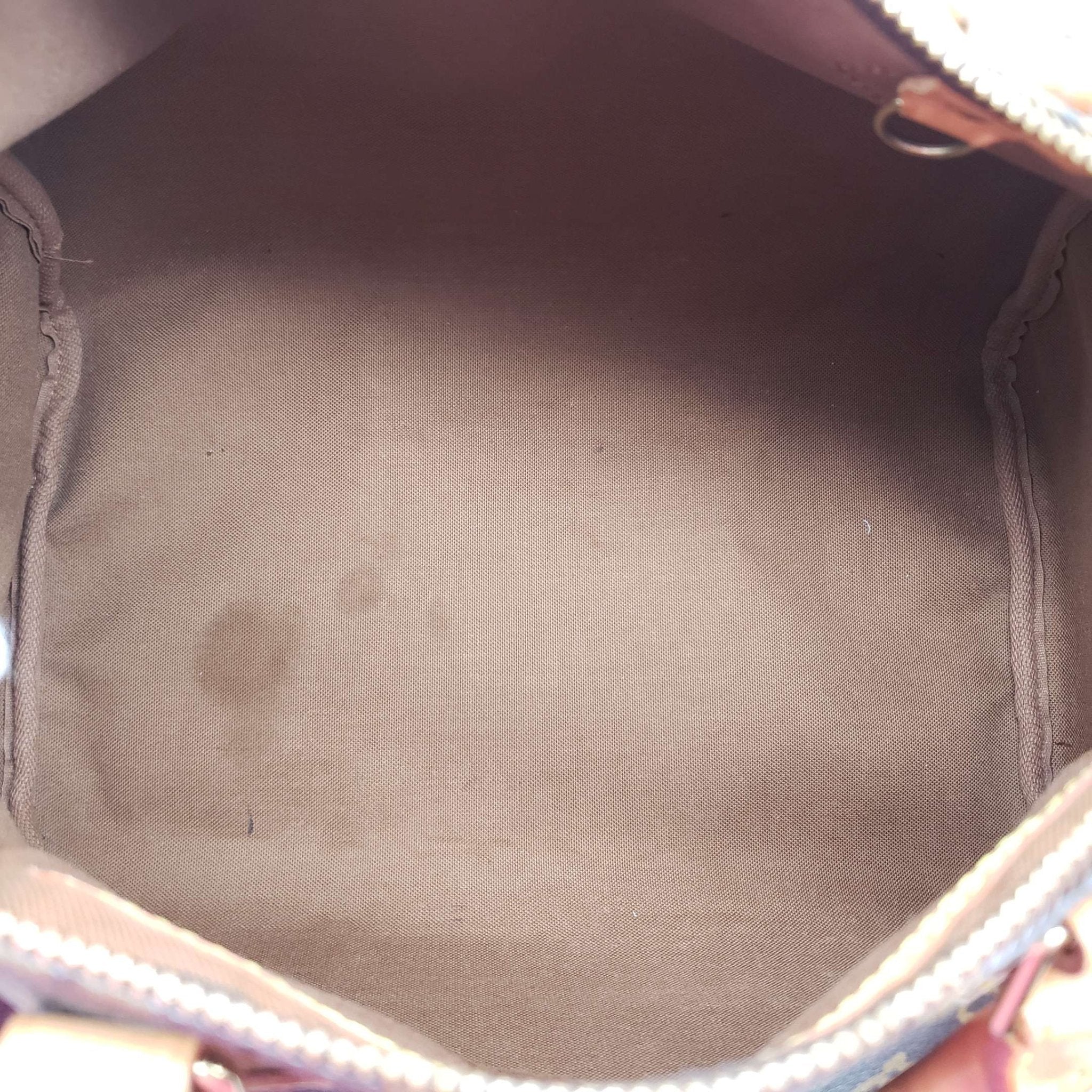 Louis Vuitton Speedy 30 Brown Monogram Hand Bag