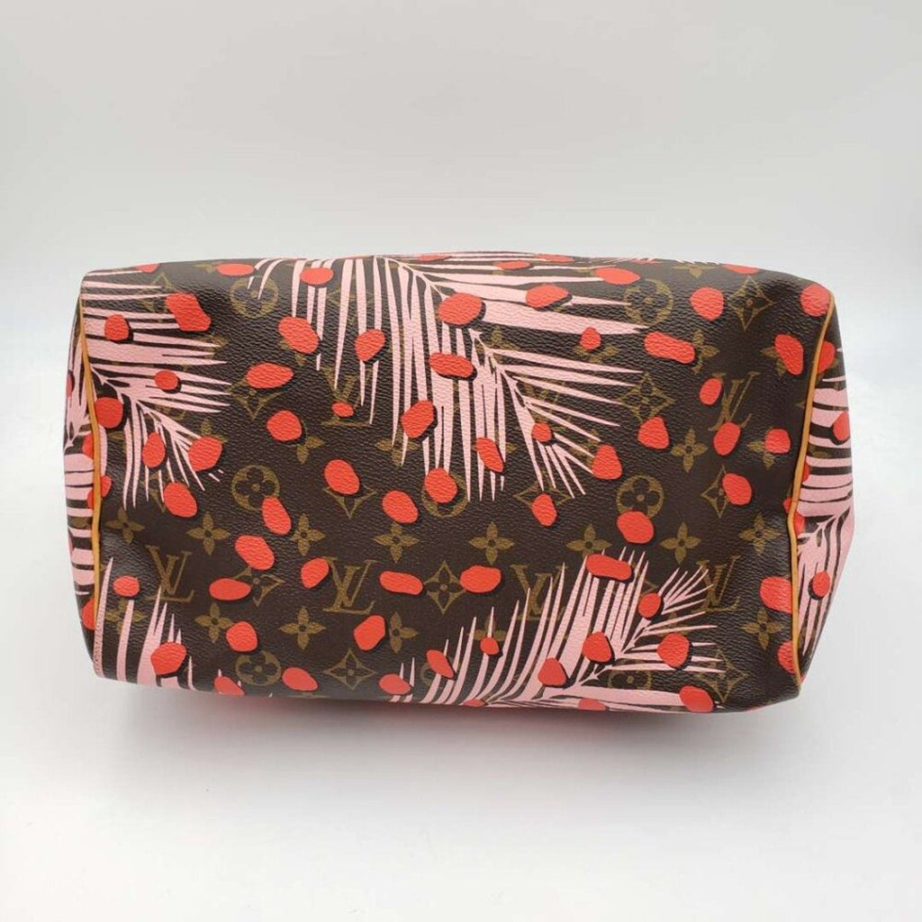 Louis Vuitton Speedy 30 Jungle Dots Brown Monogram Hand Bag