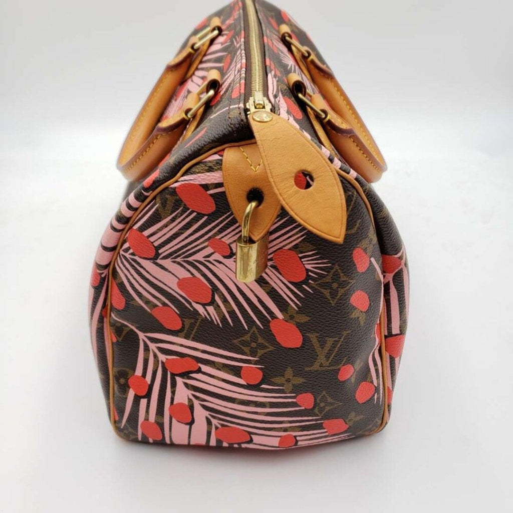 Louis Vuitton Speedy 30 Jungle Dots Brown Monogram Hand Bag