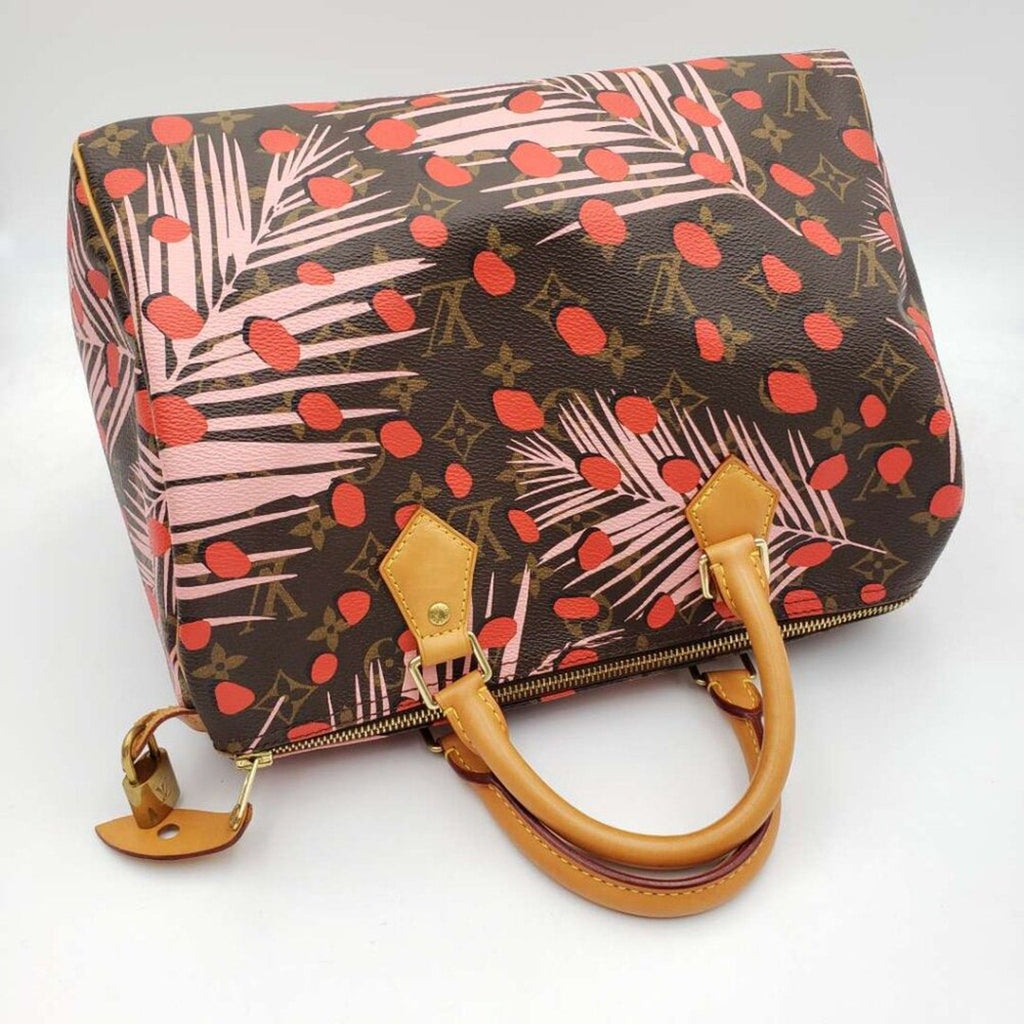 Louis Vuitton Speedy 30 Jungle Dots Brown Monogram Hand Bag