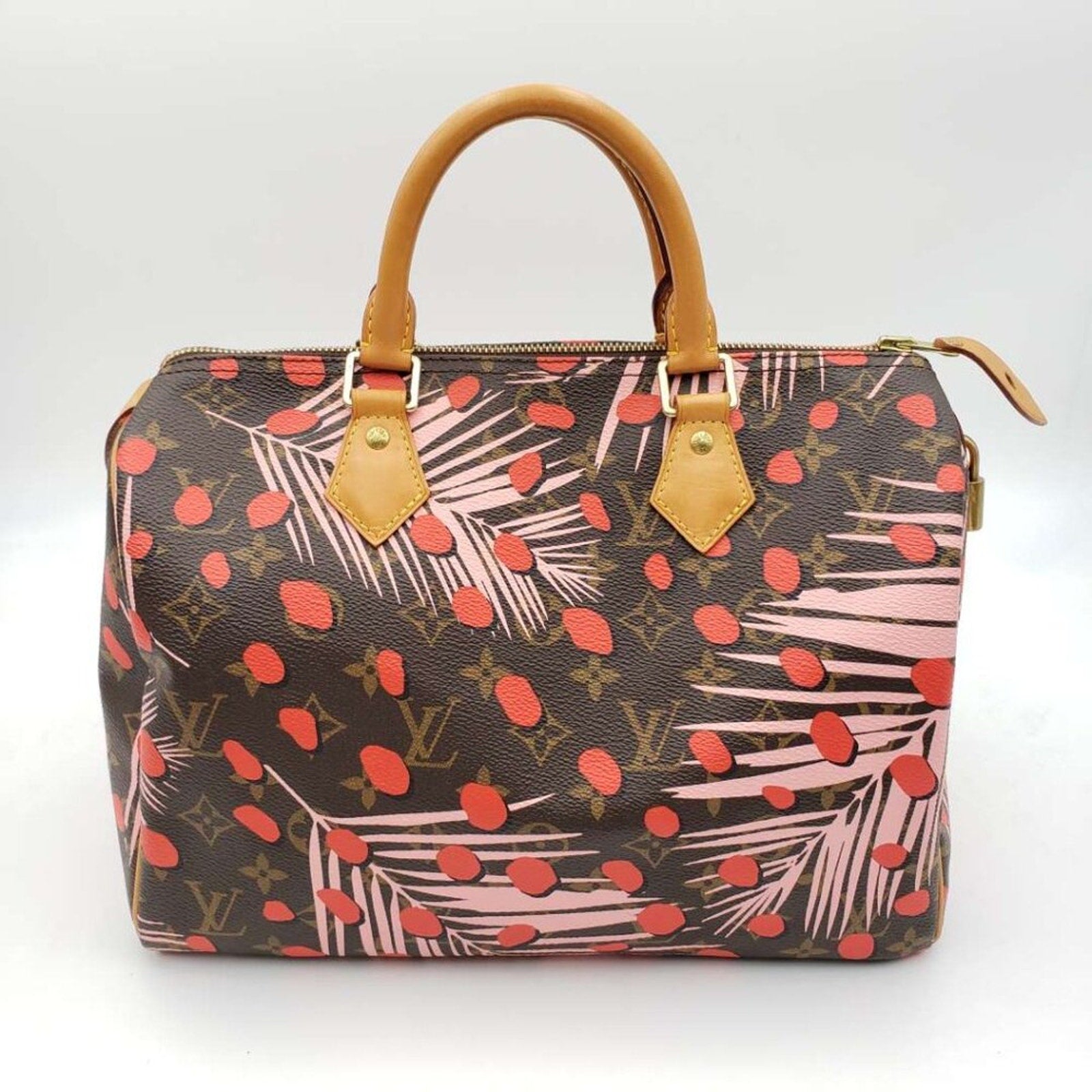 Louis Vuitton Speedy 30 Jungle Dots Brown Monogram Hand Bag