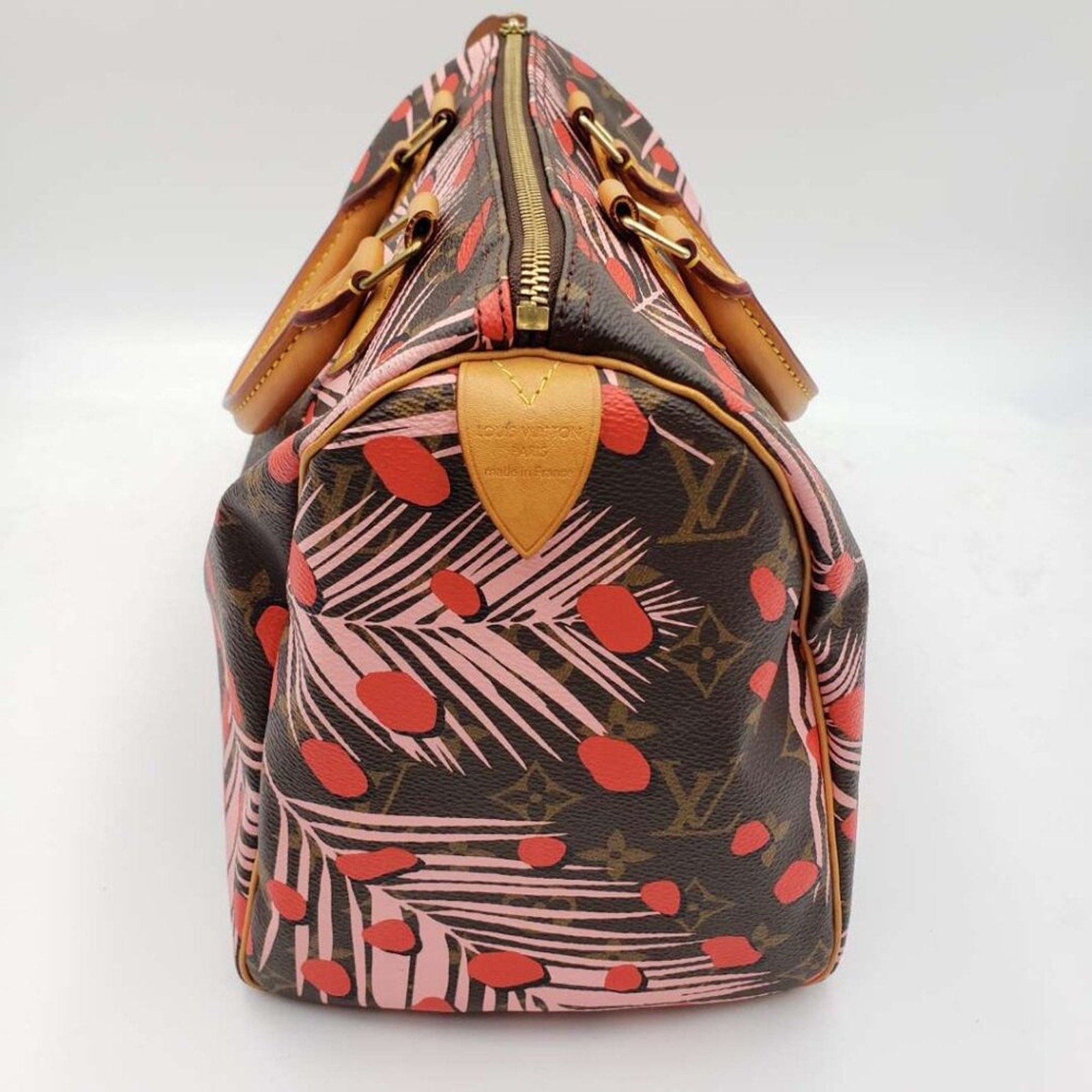 Louis Vuitton Speedy 30 Jungle Dots Brown Monogram Hand Bag