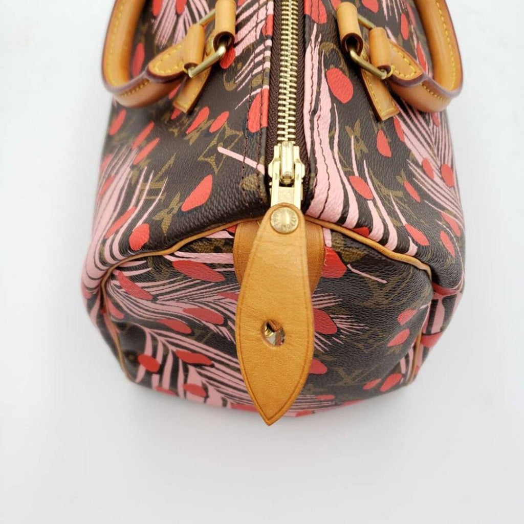 Louis Vuitton Speedy 30 Jungle Dots Brown Monogram Hand Bag