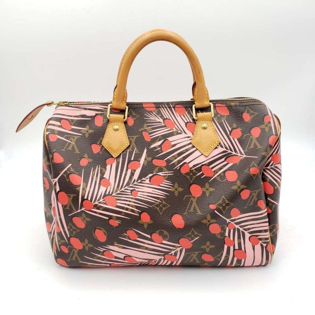 Louis Vuitton Speedy 30 Jungle Dots Brown Monogram Hand Bag