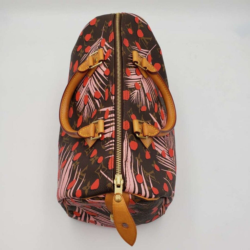 Louis Vuitton Speedy 30 Jungle Dots Brown Monogram Hand Bag