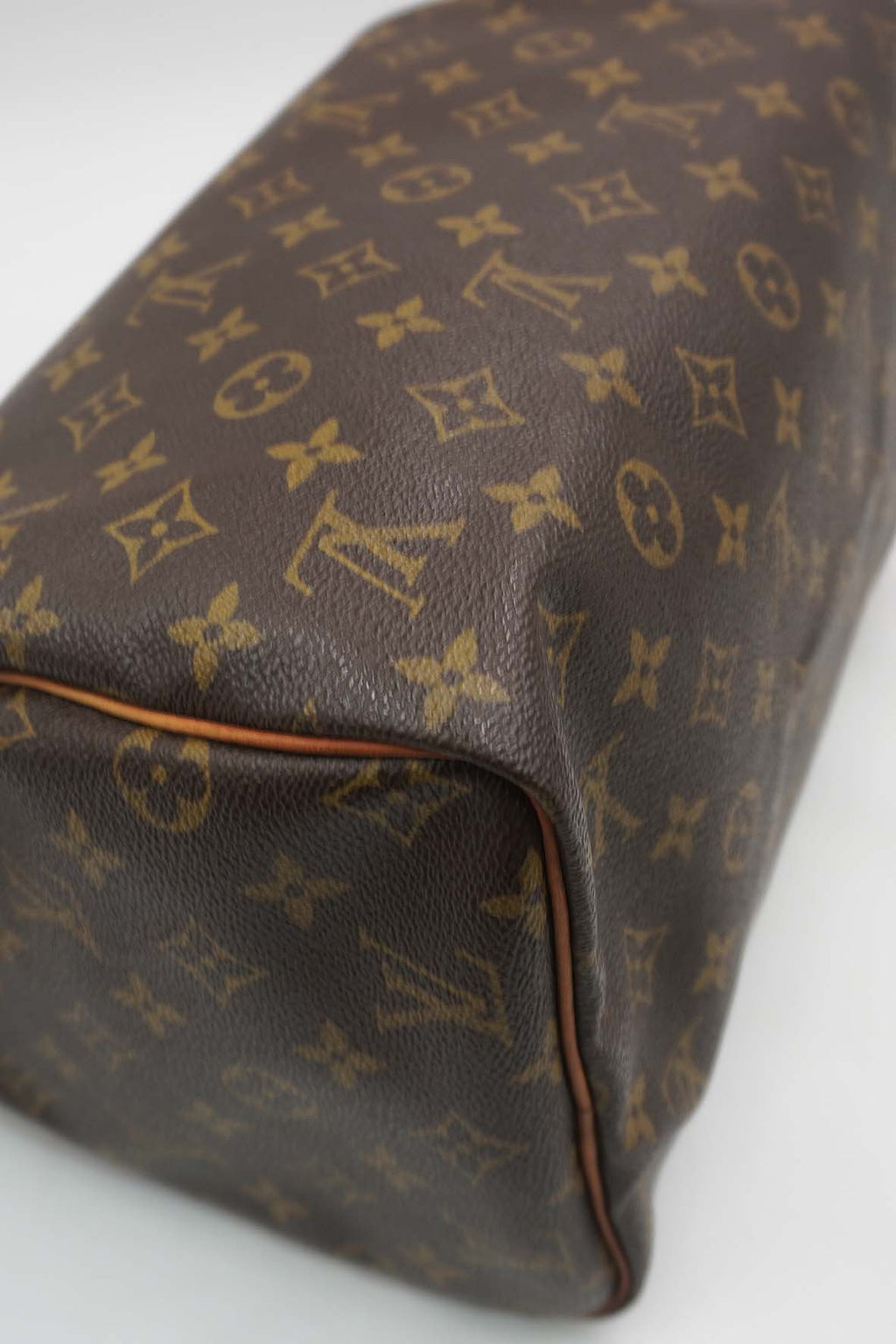 Speedy 30 Monogram Brown Multicolor