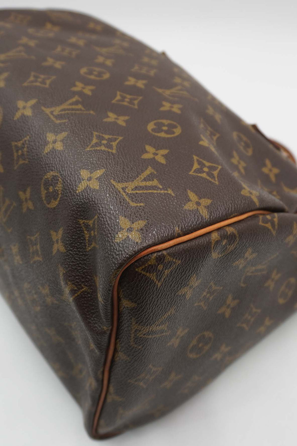 Speedy 30 Monogram Brown Multicolor