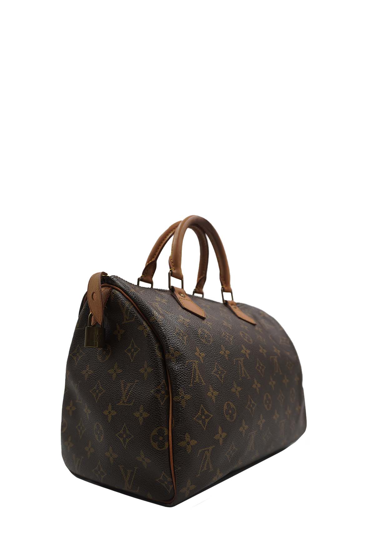 Speedy 30 Monogram Brown Multicolor