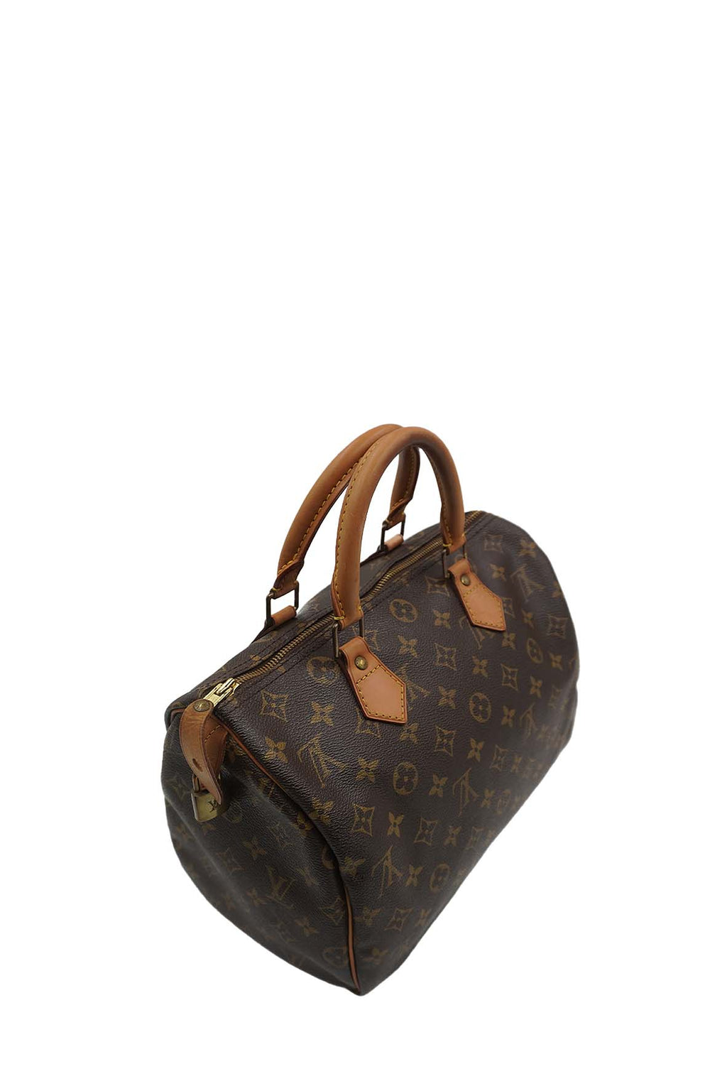 Speedy 30 Monogram Brown Multicolor