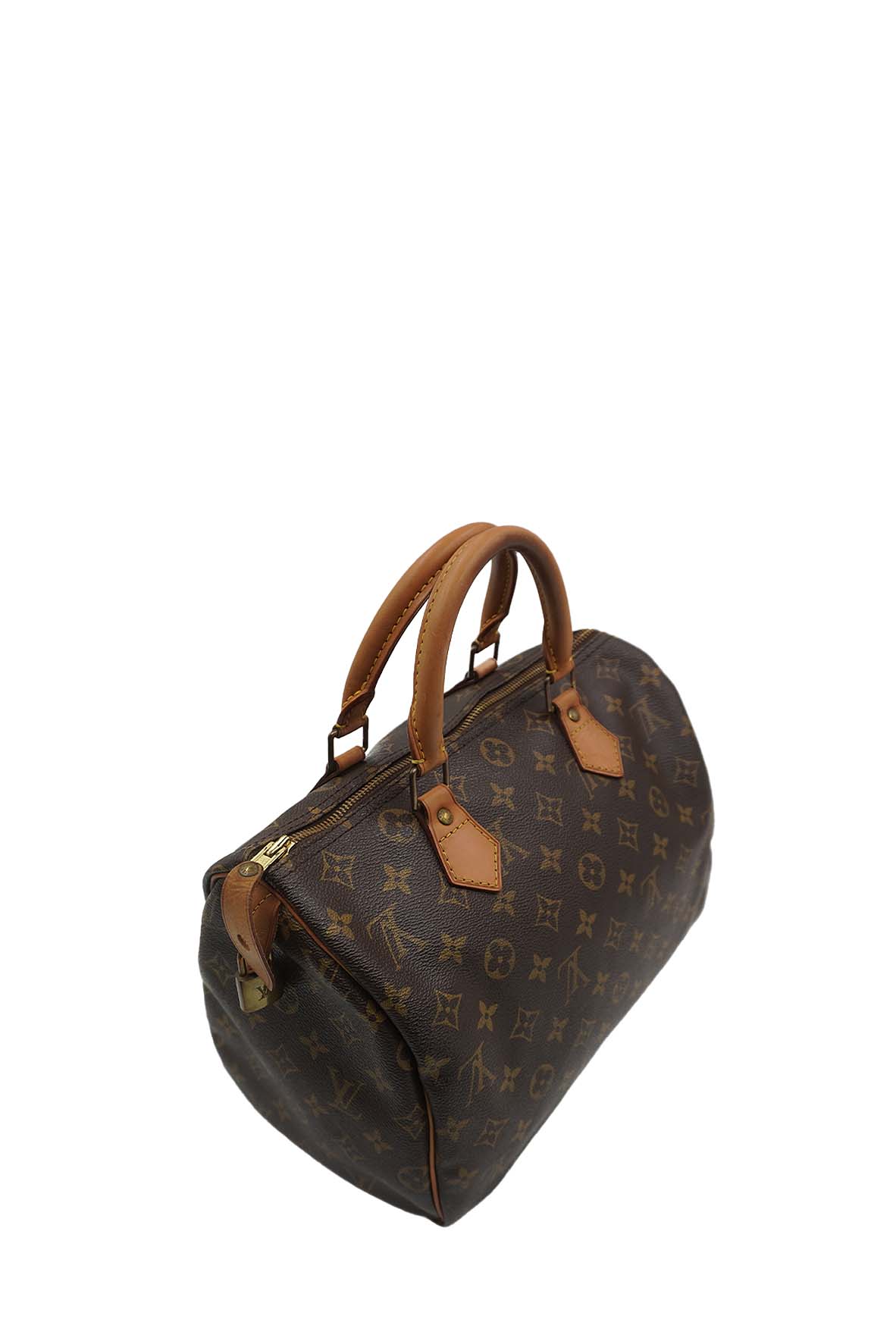 Speedy 30 Monogram Brown Multicolor