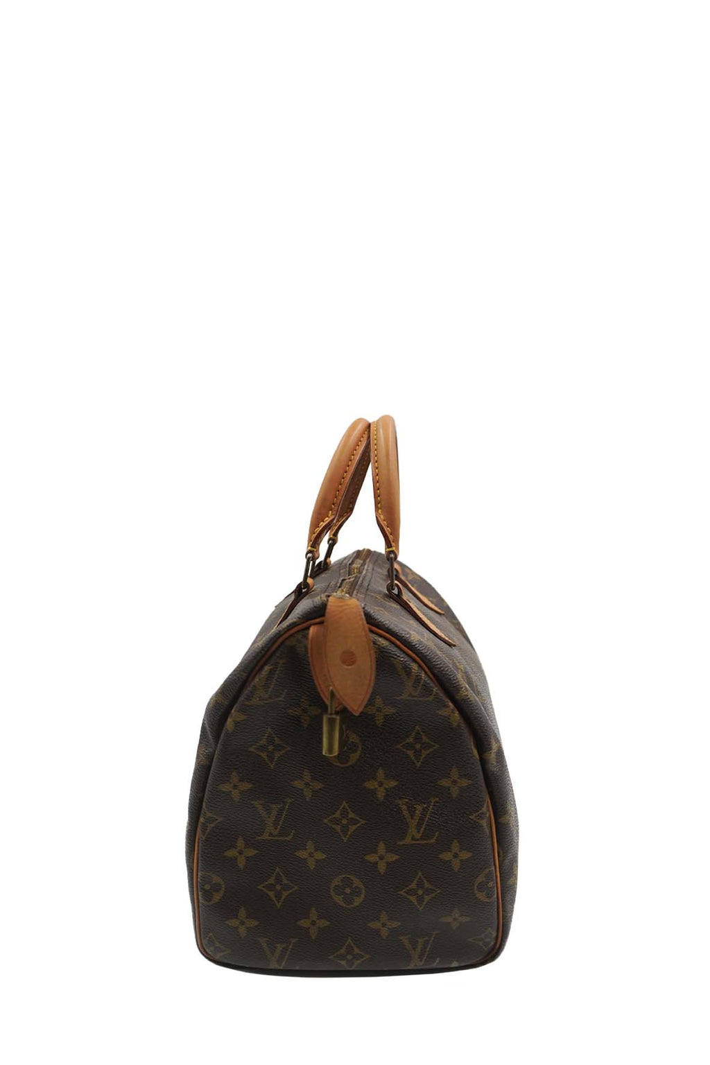 Speedy 30 Monogram Brown Multicolor