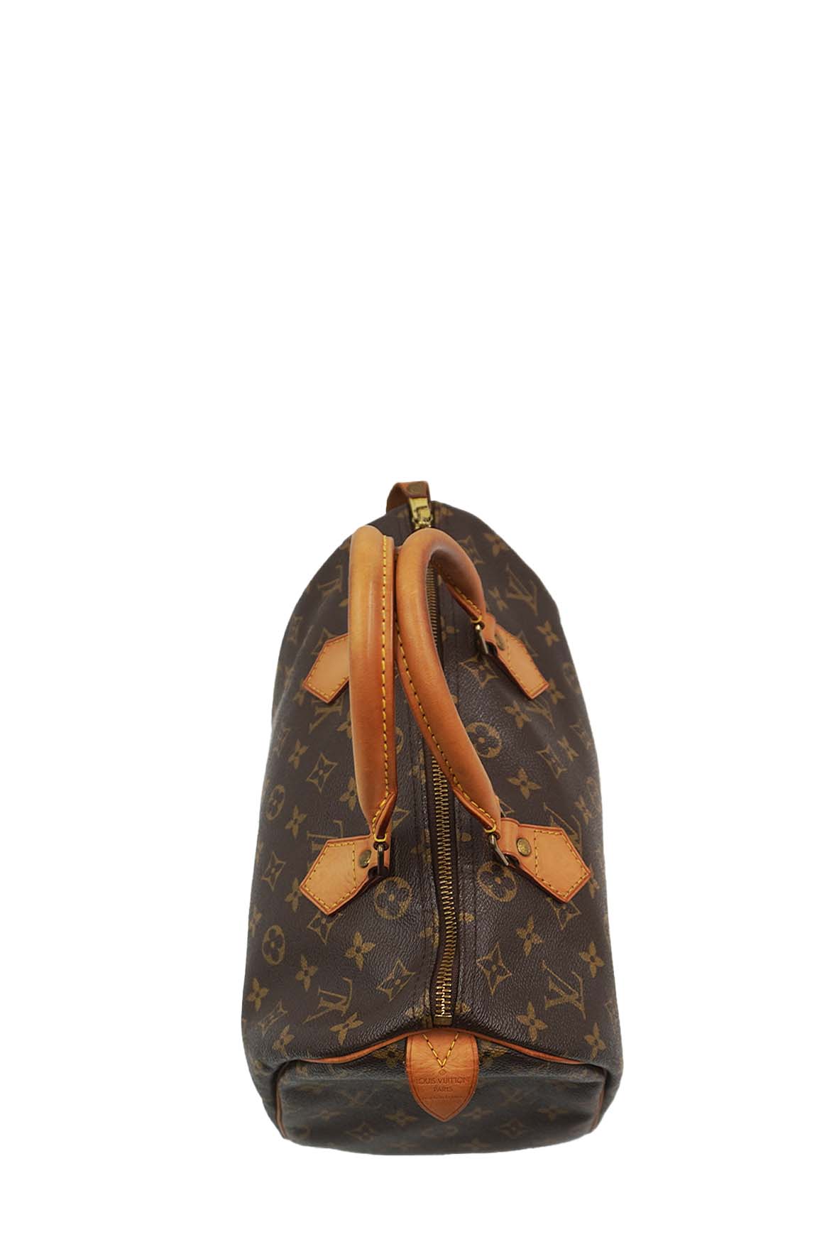 Speedy 30 Monogram Brown Multicolor