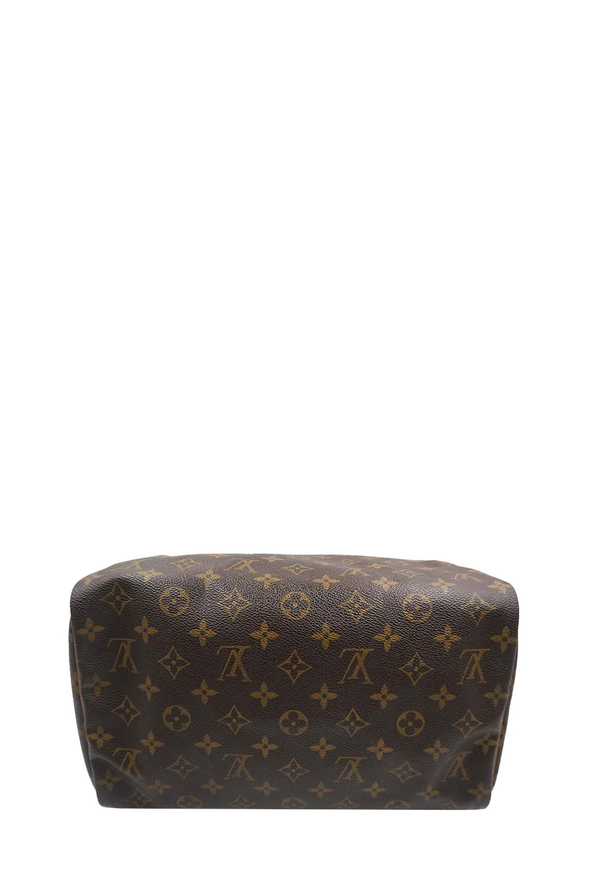 Speedy 30 Monogram Brown Multicolor