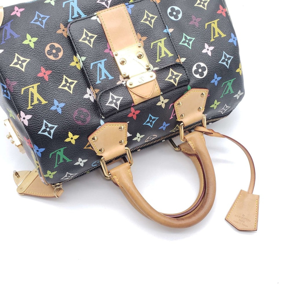 Louis Vuitton Speedy 30 Multicolor Hand Bag