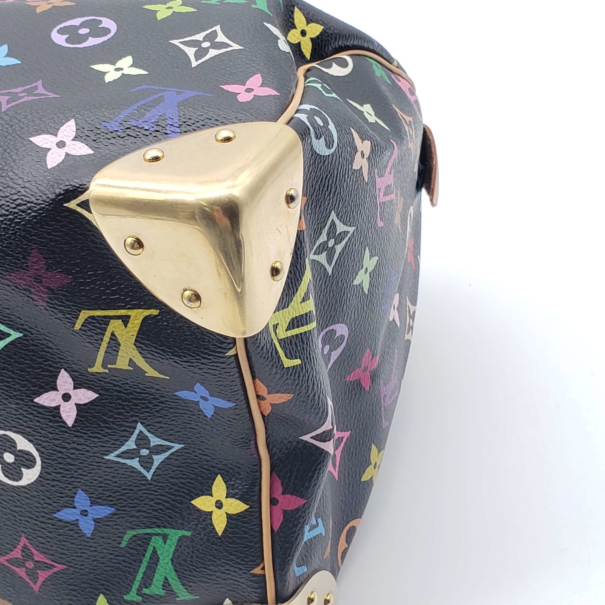 Louis Vuitton Speedy 30 Multicolor Hand Bag