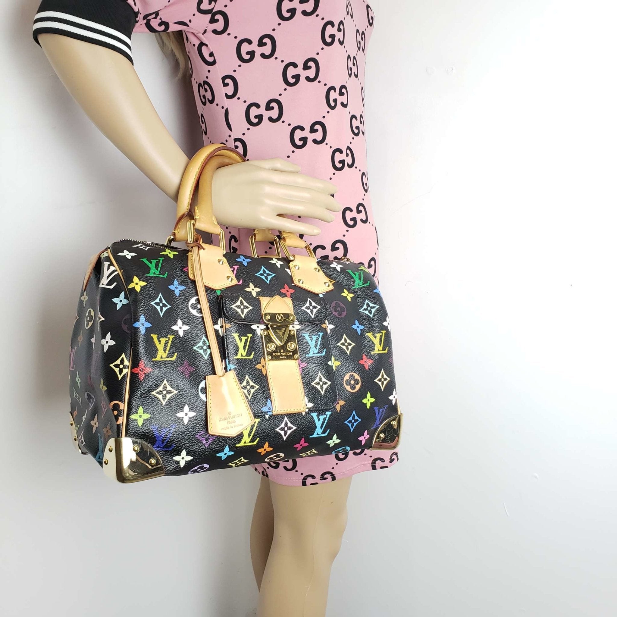 Louis Vuitton Speedy 30 Multicolor Hand Bag
