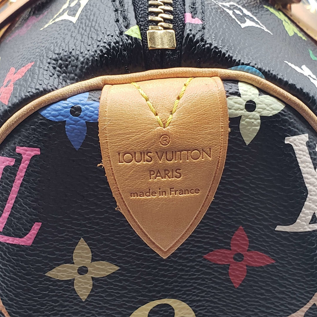 Louis Vuitton Speedy 30 Multicolor Hand Bag