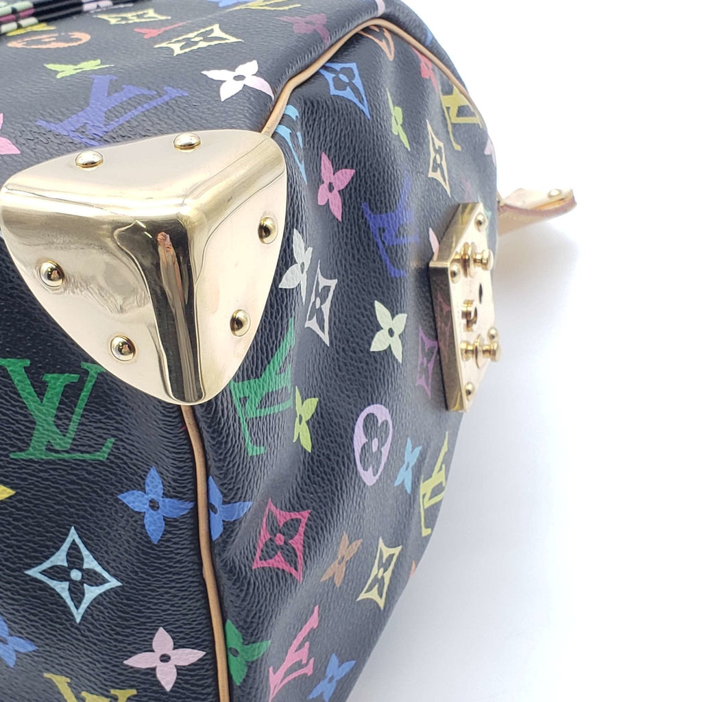 Louis Vuitton Speedy 30 Multicolor Hand Bag