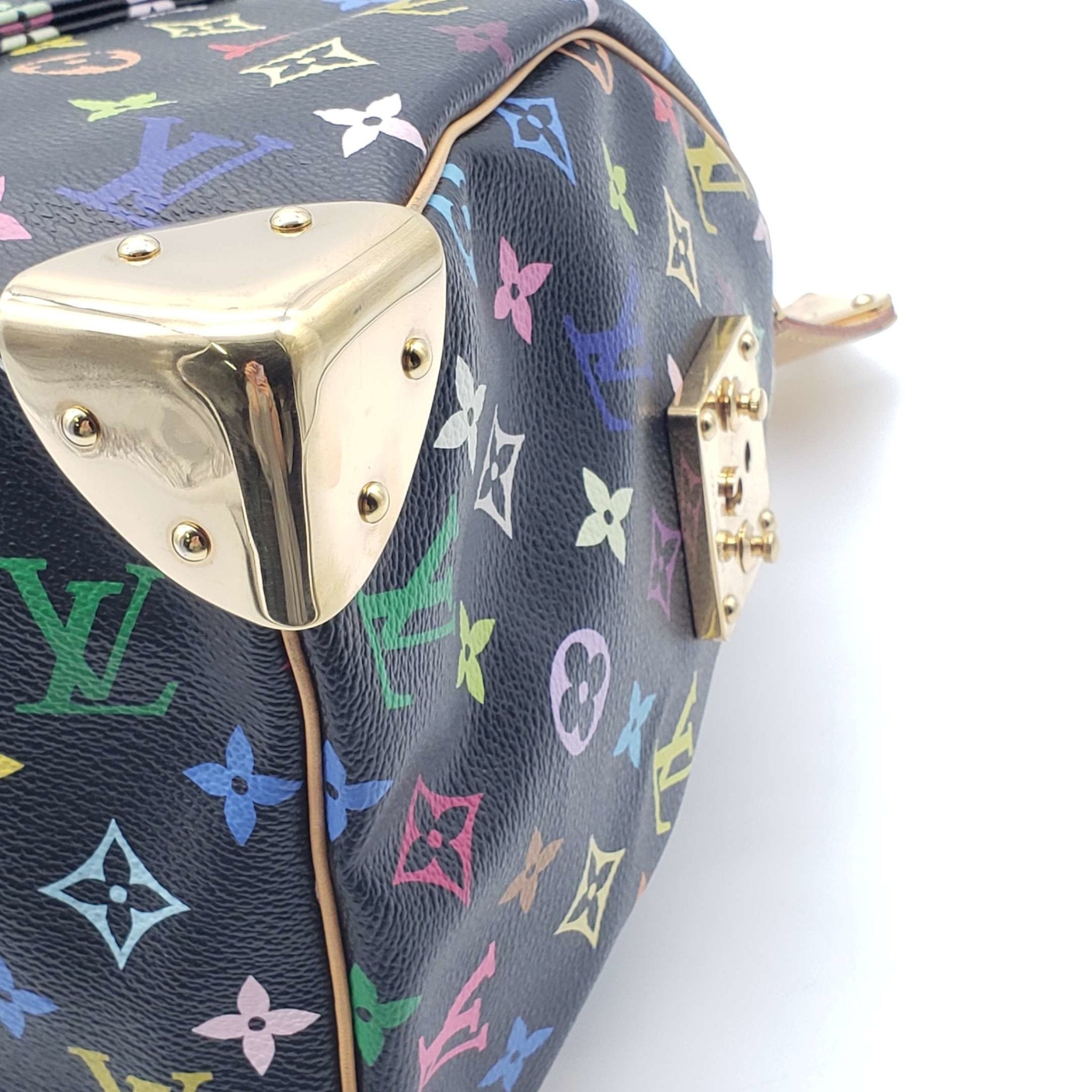 Louis Vuitton Speedy 30 Multicolor Hand Bag