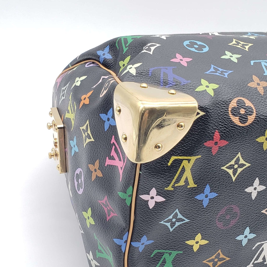 Louis Vuitton Speedy 30 Multicolor Hand Bag