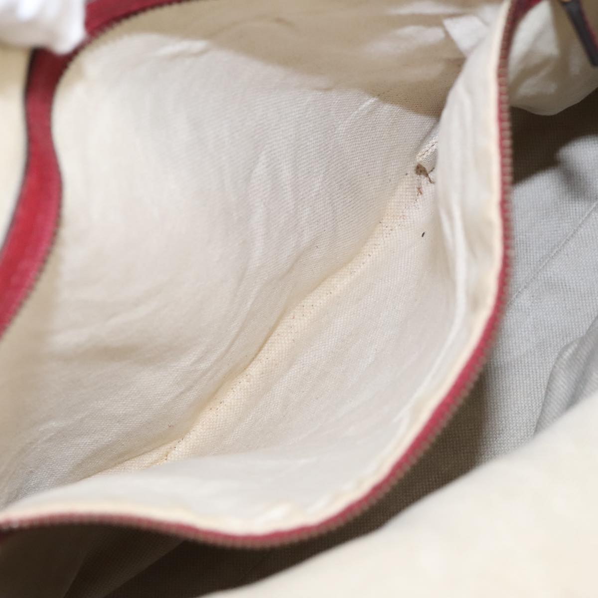 GUCCI GG Canvas Hand Bag 2way Beige Red mr710
