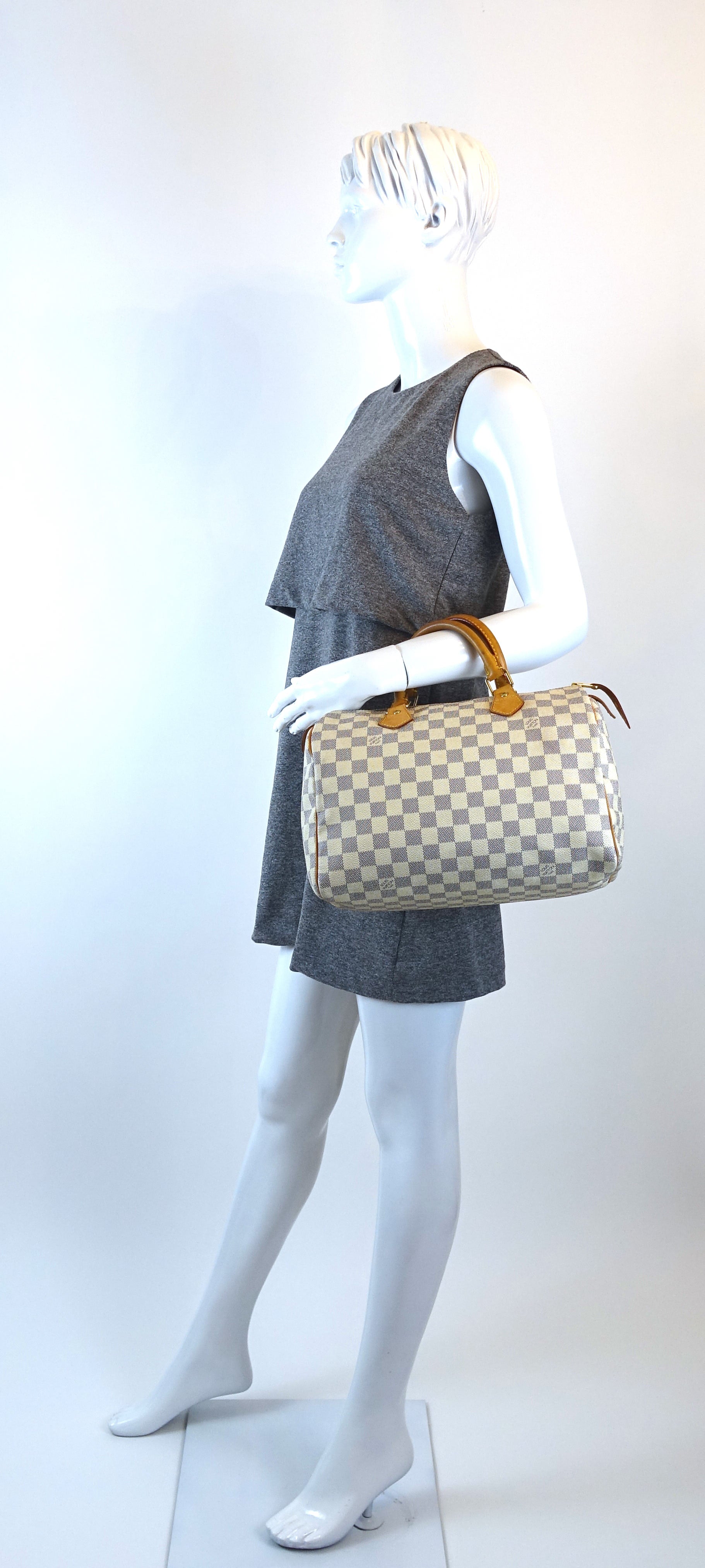 Louis Vuitto Speedy 30 Handbag