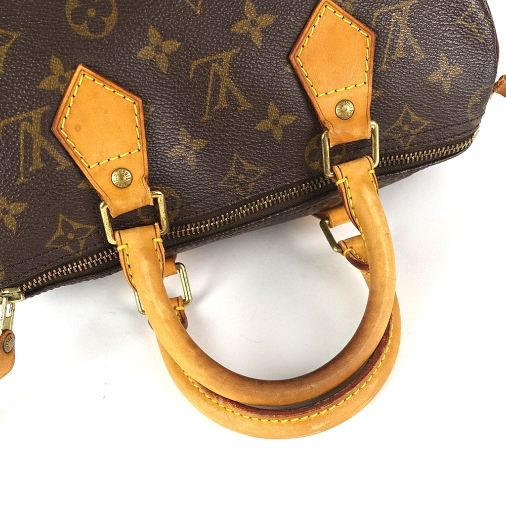 Louis Vuitto Speedy 25 Monogram Canvas Handbag