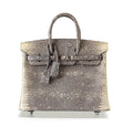 HermÃƒÆ’Ã‚Â¨s Birkin 25 Ombre Lizard Bag PHW