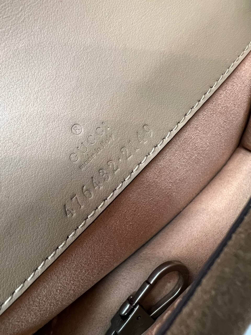 Dionysus leather mini bag supreme