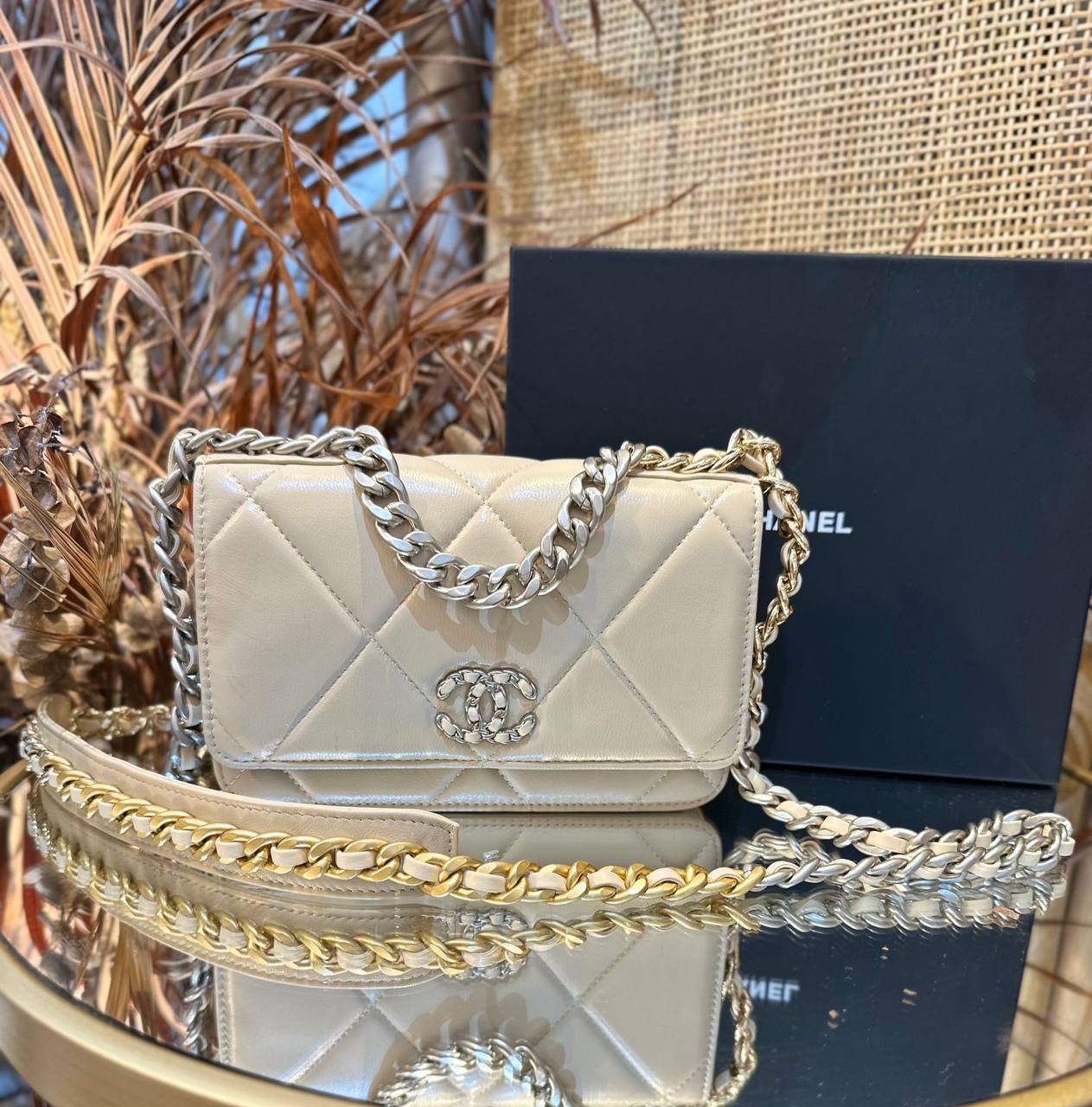 Goatskin Quilted Chanel 19 Wallet On Chain WOC (Beige)