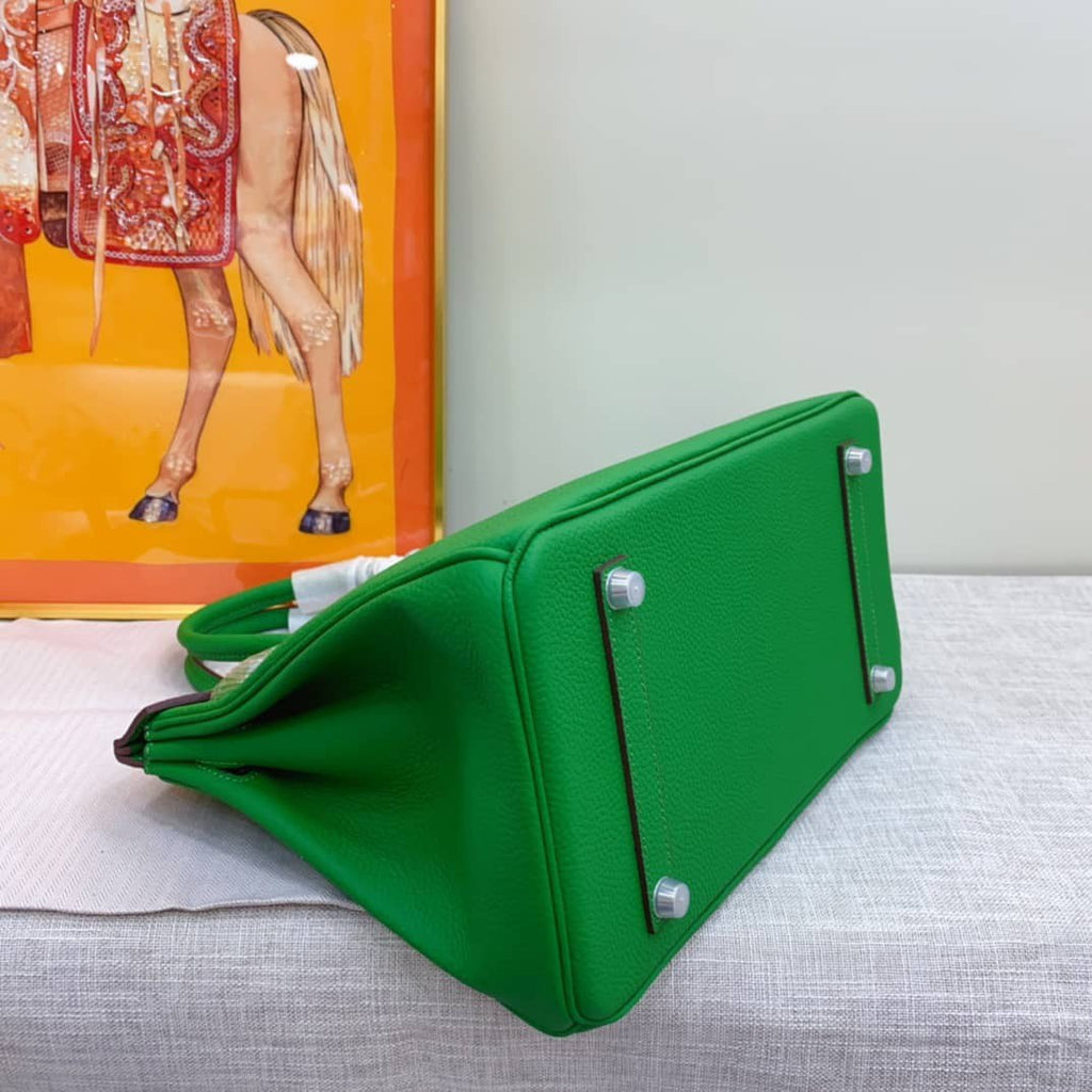 HERMES BIRKIN 30- TOGO- ANEMONE
