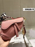 Dior Saddle Bags