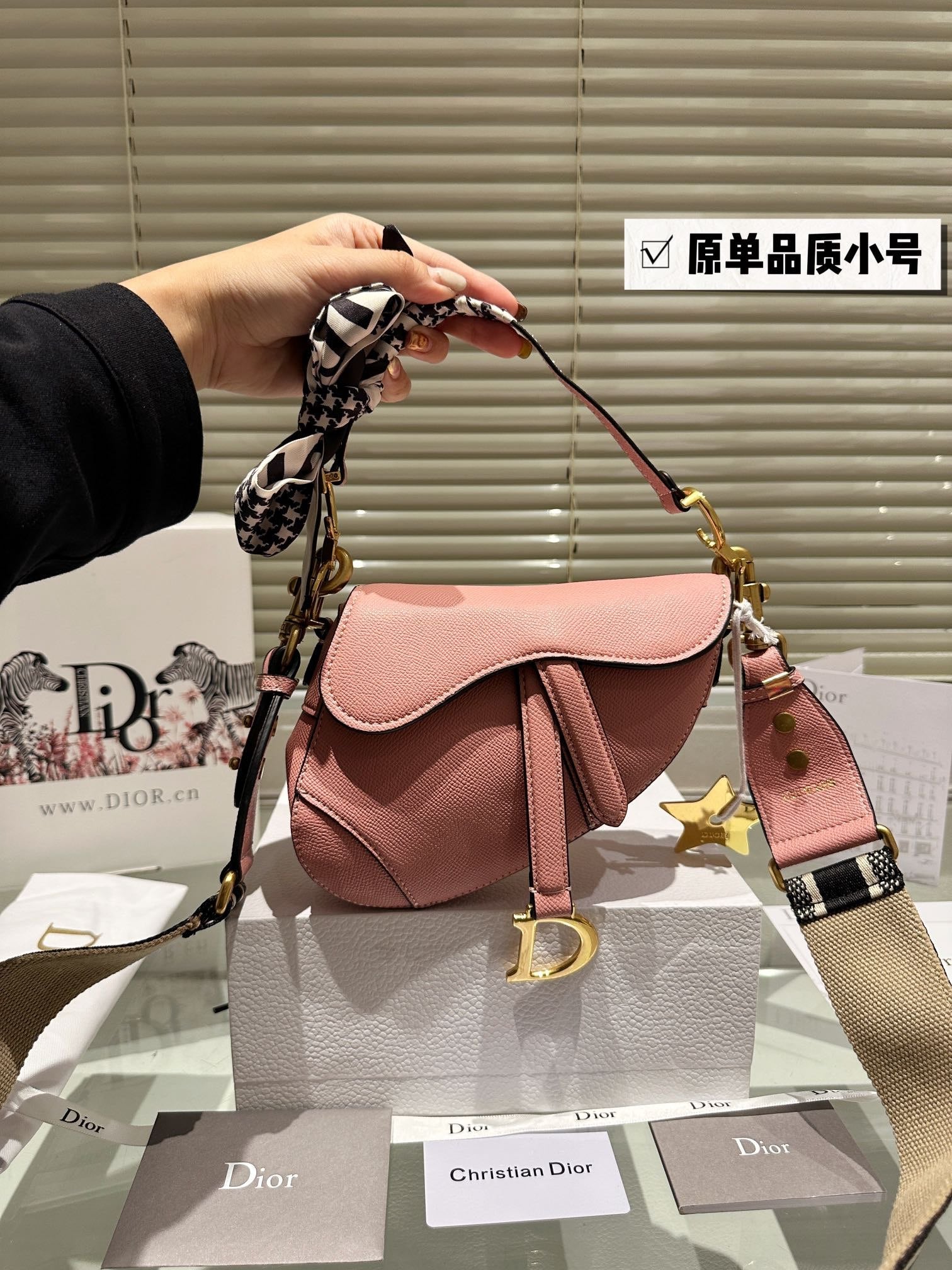 Dior Saddle Bags