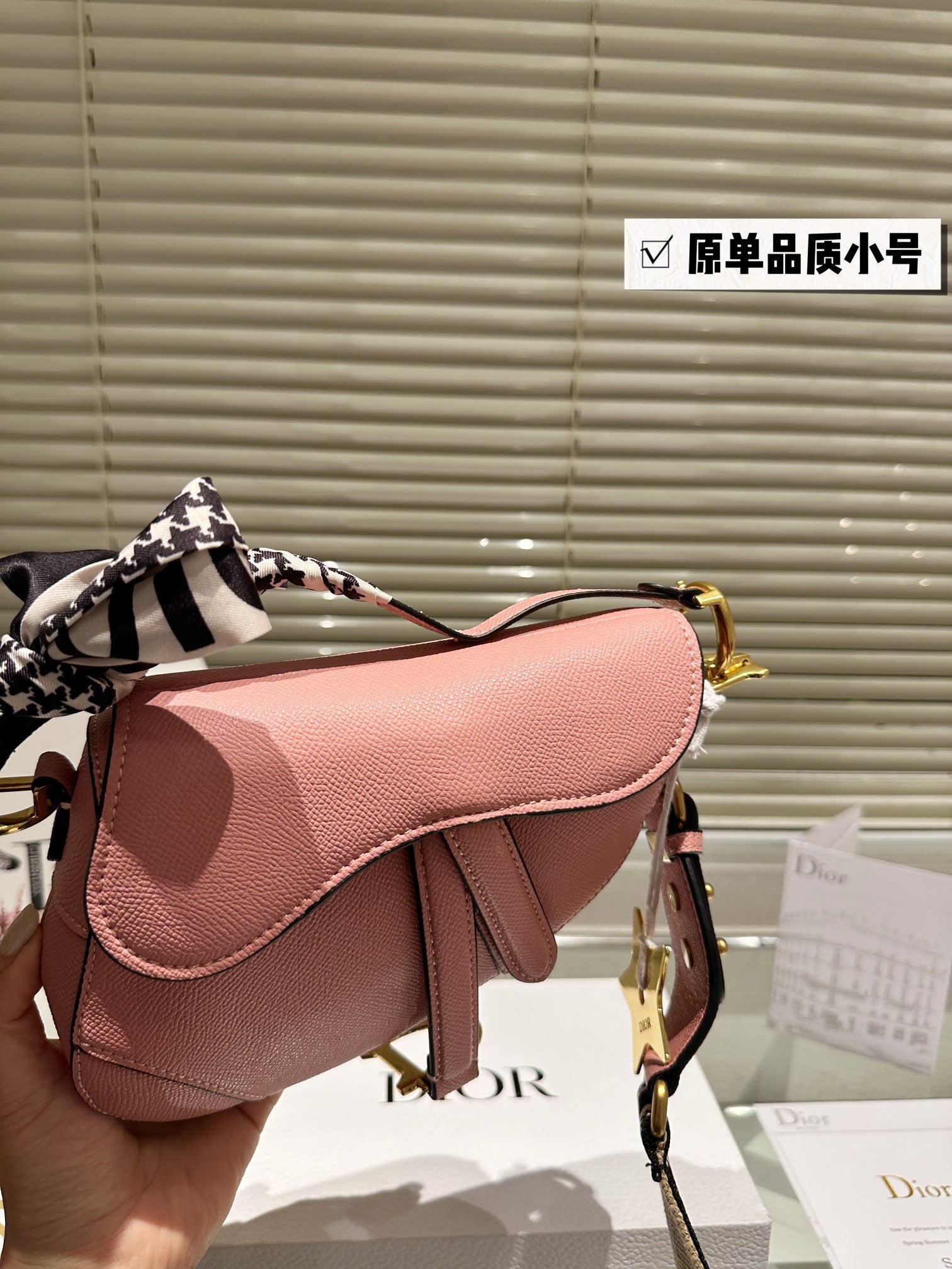 Dior Saddle Bags