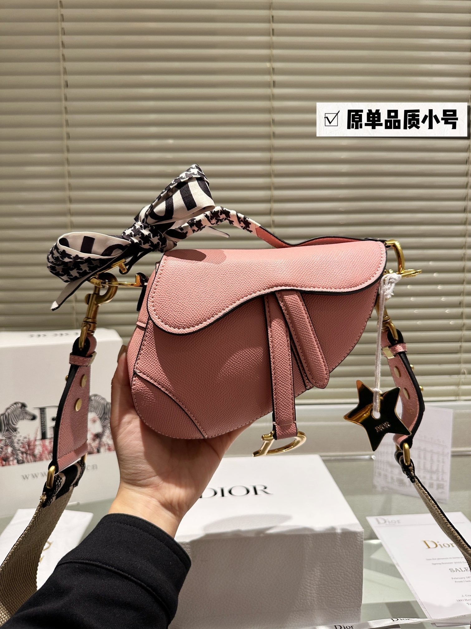 Dior Saddle Bags
