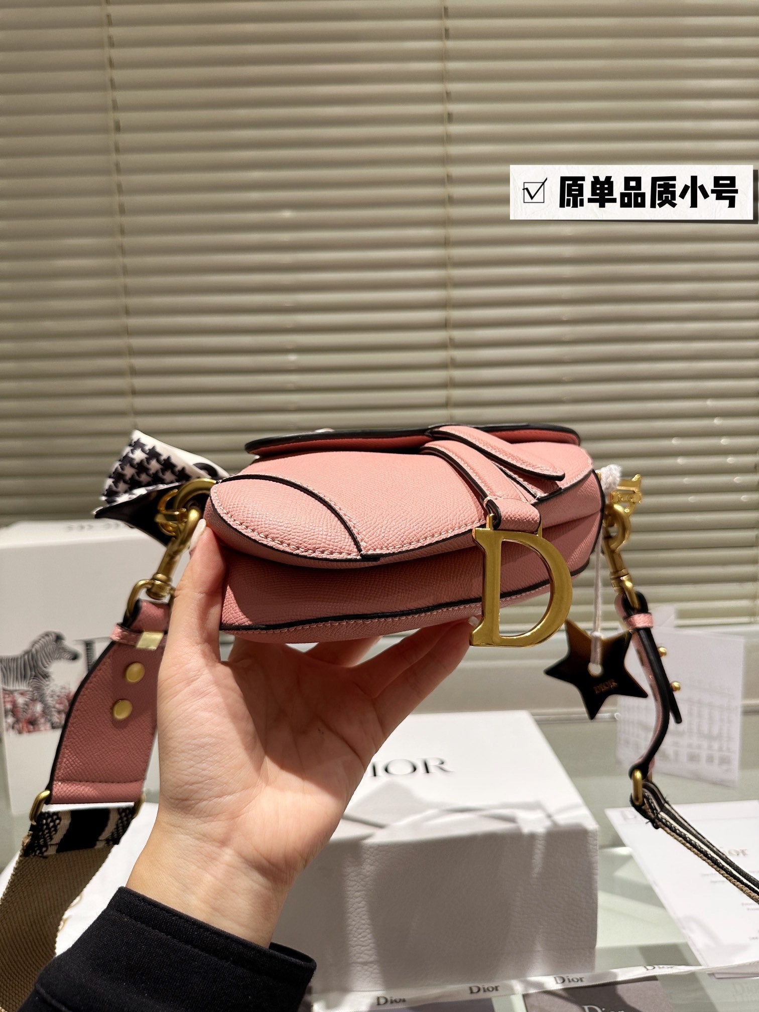 Dior Saddle Bags