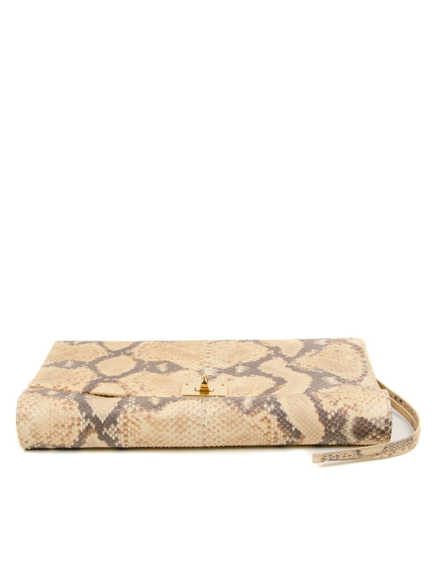 Large Snakeskin Clutch Bag